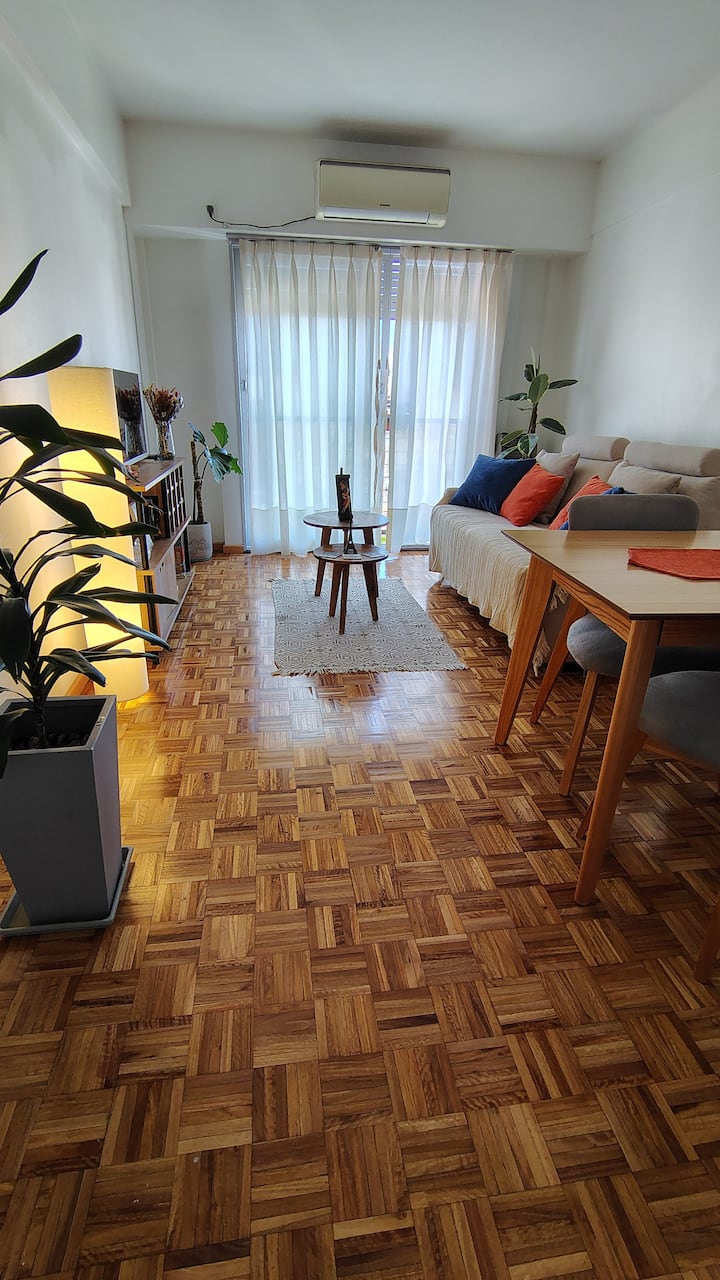 One-bedroom apartment in Villa del Parque