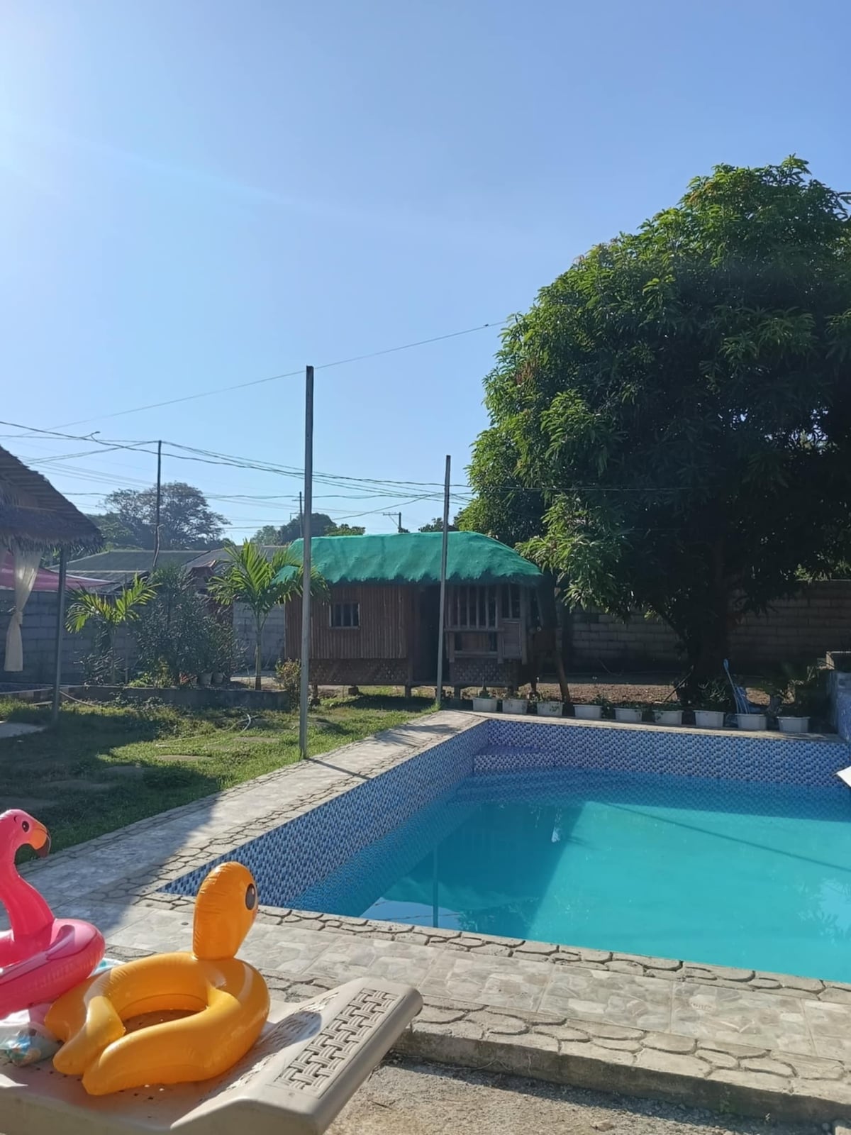 A clear pool reflects the bright sky, surrounded by green grass and small plants. A large tree offers shade near a wooden structure, with colorful floaties placed at the edge of the water. Power lines are visible overhead.