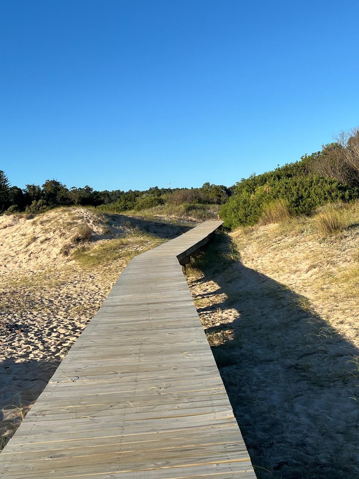 A wooden boardwalk meanders through a sandy area, flanked by lush greenery on both sides. The path leads towards the horizon under a clear blue sky. Gentle slopes of sand dunes are visible, enhancing the natural landscape.