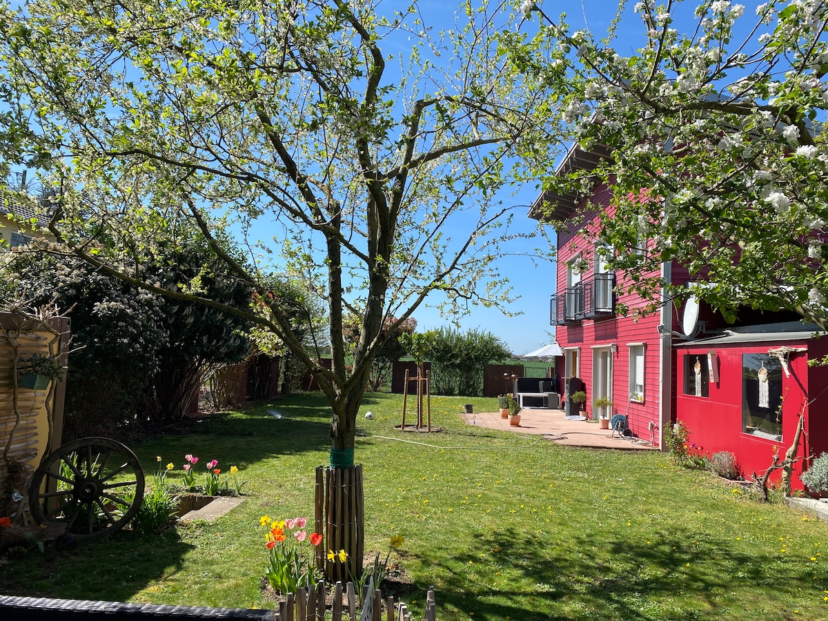 A bright garden is framed by a blooming tree, offering ample green space. A red house is visible in the background, complemented by a patio area. Sunny skies enhance the lively atmosphere, with scattered flowers adding color to the yard.