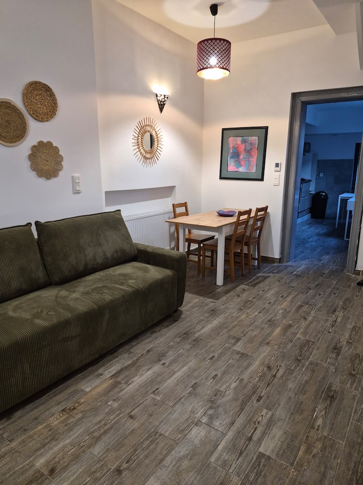 Appartement Cosy Limite Belgique. - Roubaix