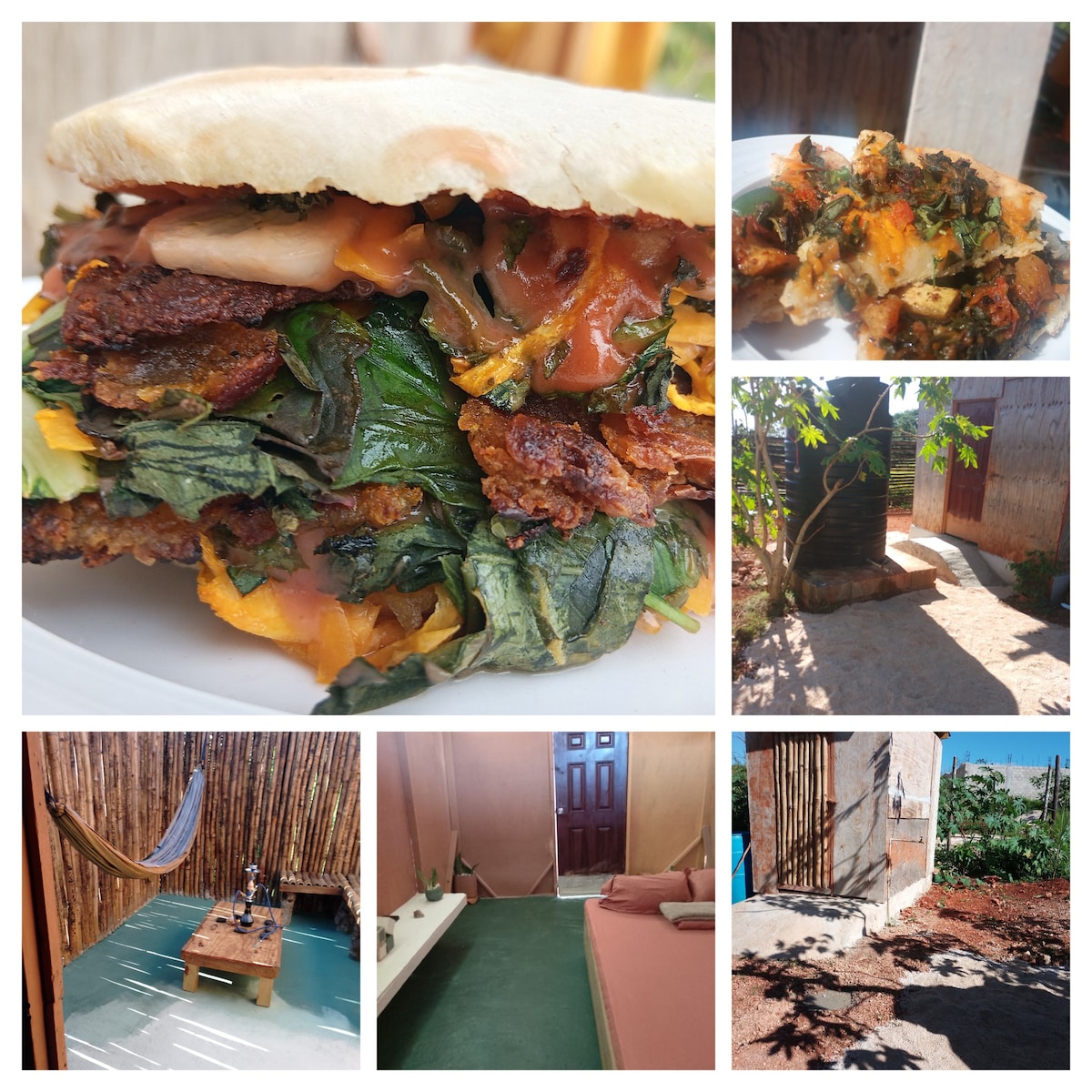 A plate holds a sandwich filled with layers of crispy vegetables, including greens and tomatoes, showcasing vibrant colors. Surrounding images depict various aspects of the property, including a natural seating area, a comfortable sleeping space, and lush greenery in the garden.