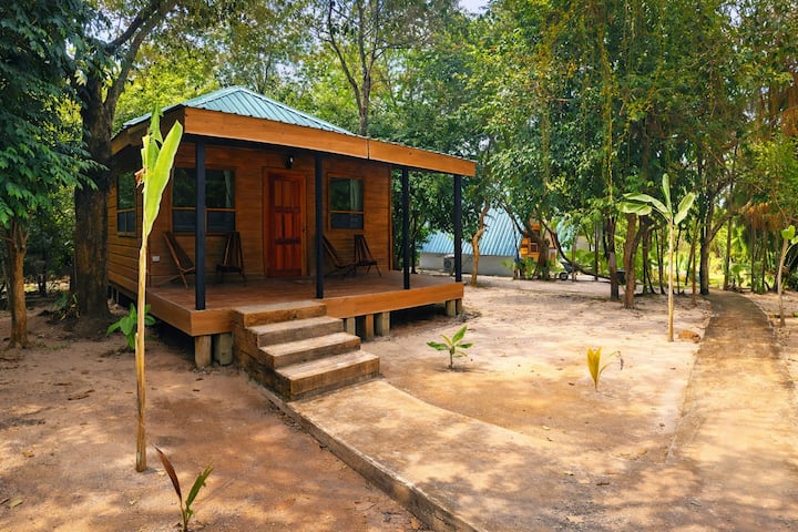 Kin Lodge Coatimundi in Placencia