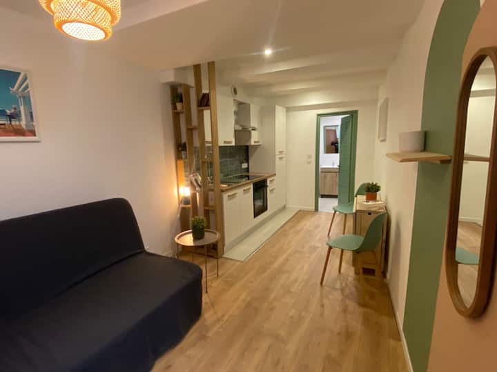 Cosy Appartement Vieux Nice. - 埃茲