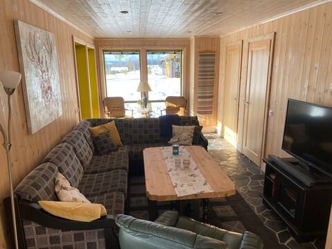 Successful Airbnb property: Cabin on Furutangen - about 40 min. from Trysil in Åmot