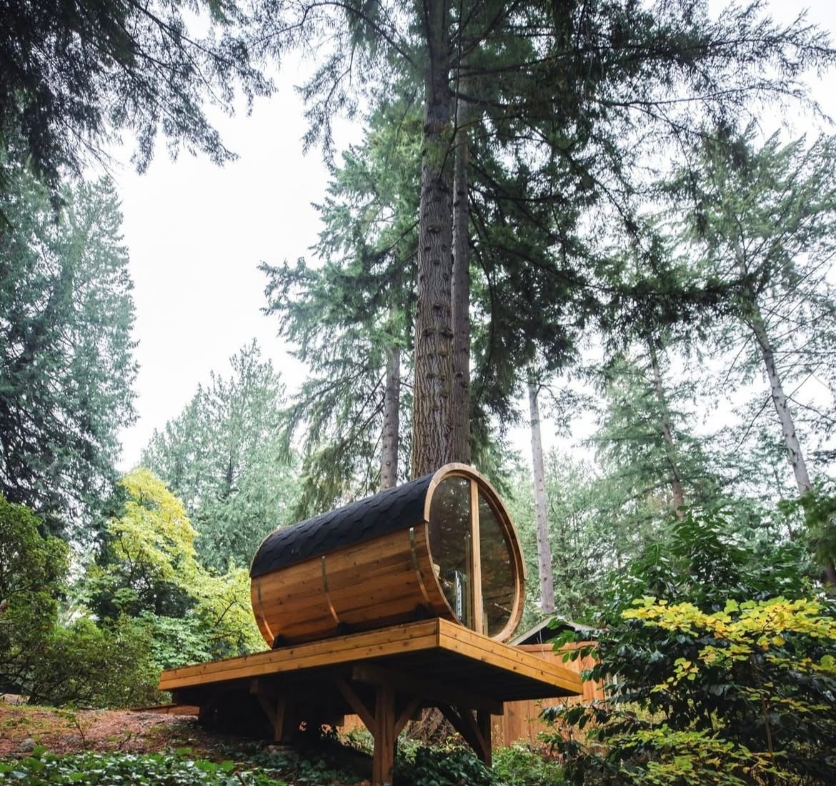 A distinctive barrel sauna is situated on a wooden platform surrounded by tall trees. The sauna's natural wood exterior contrasts with the lush greenery and forest backdrop, providing a secluded and calming atmosphere. Nature envelops the area, inviting relaxation.