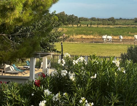 Top Airbnb: Le Gardian Equestrian Gîte à Arles