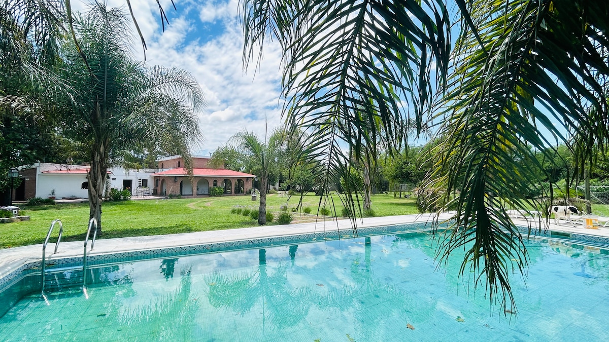 A tranquil outdoor space showcases a clear swimming pool surrounded by lush greenery and palm trees. A spacious lawn is visible in the background, with a charming house featuring a red roof and shaded patio areas for relaxation.