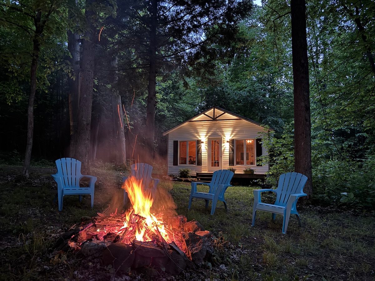 A cozy outdoor space features a vibrant campfire surrounded by several blue Adirondack chairs. The inviting cottage is visible in the background, with warm light glowing from its windows amidst the serene wooded setting.