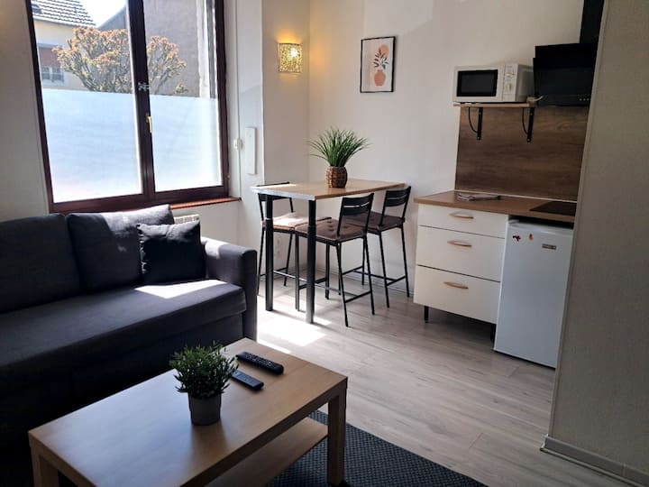 Le Calme à 2 Pas Du Centre - 4 Couchages - Belfort