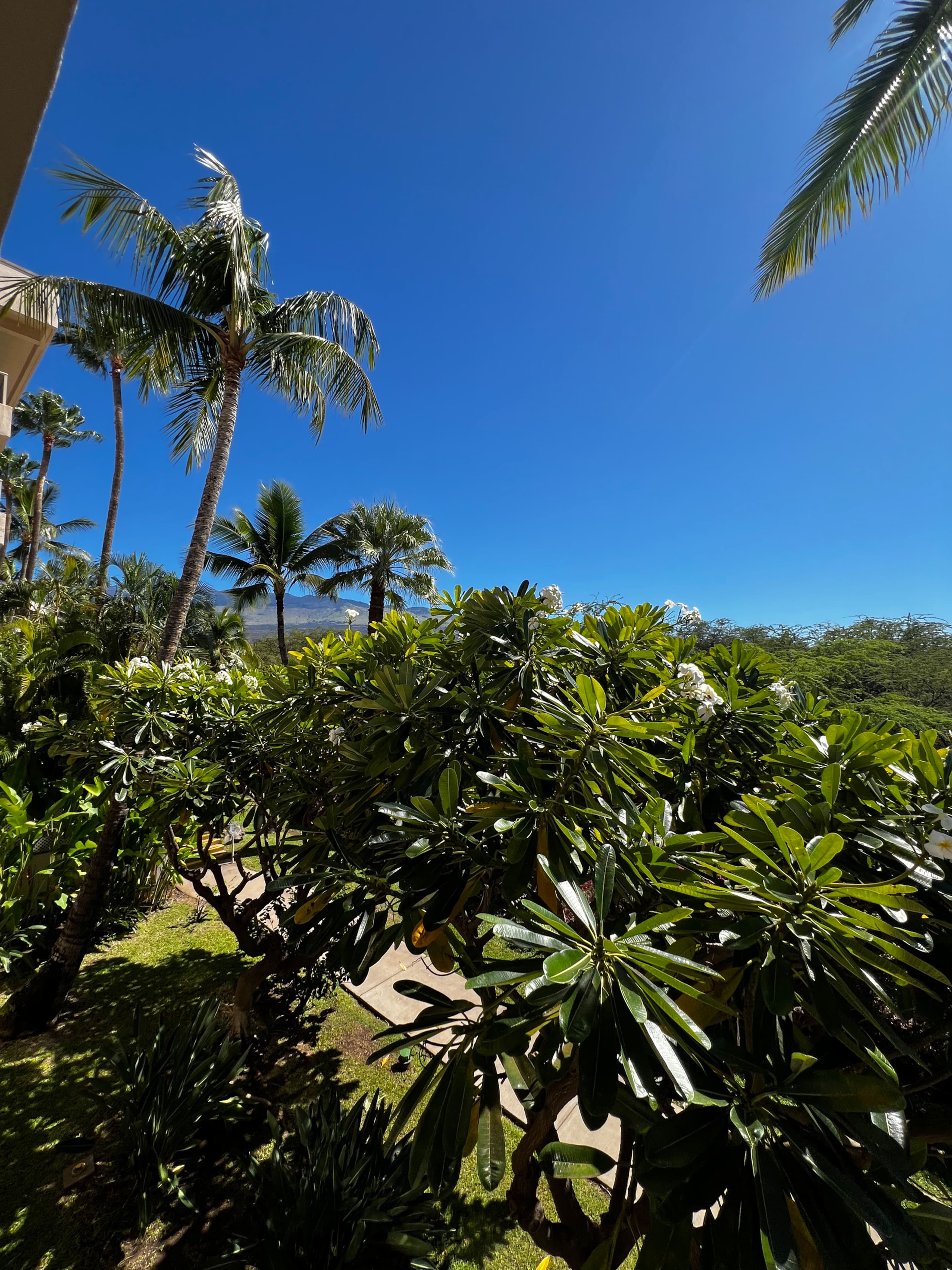 Condo in Kihei · ★4.94 · 1 bedroom · 1 bed · 2 baths - Image 15