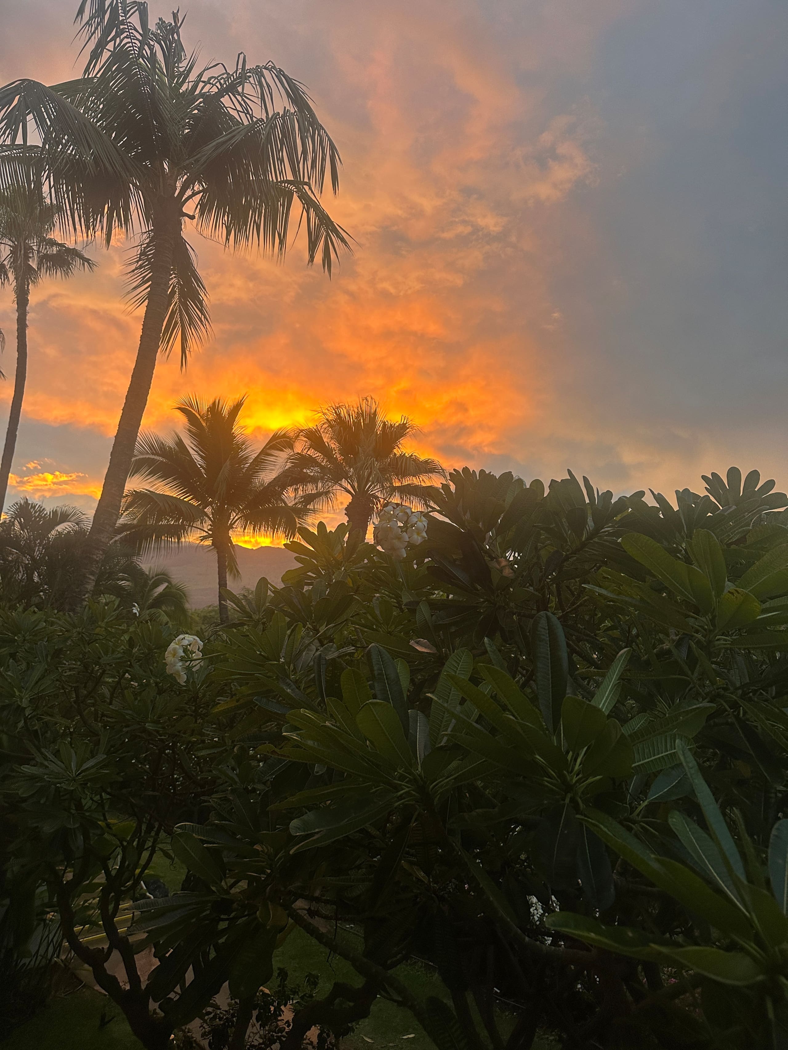 Condo in Kihei · ★4.94 · 1 bedroom · 1 bed · 2 baths - Image 17