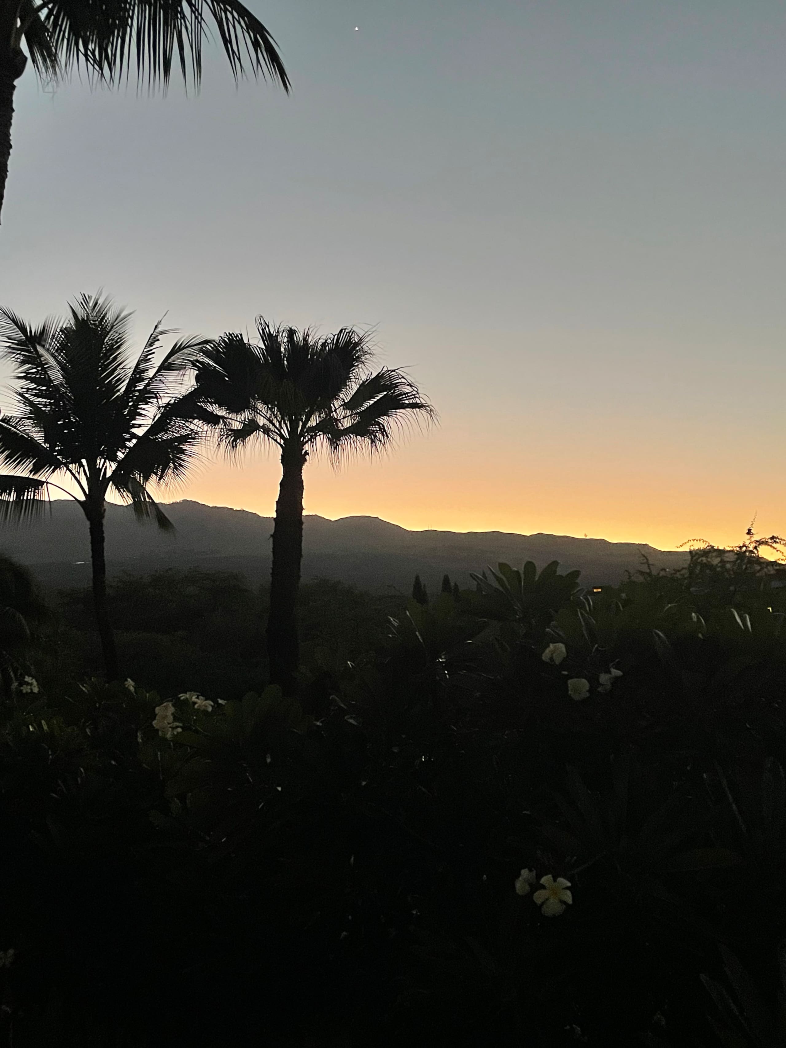Condo in Kihei · ★4.94 · 1 bedroom · 1 bed · 2 baths - Image 13