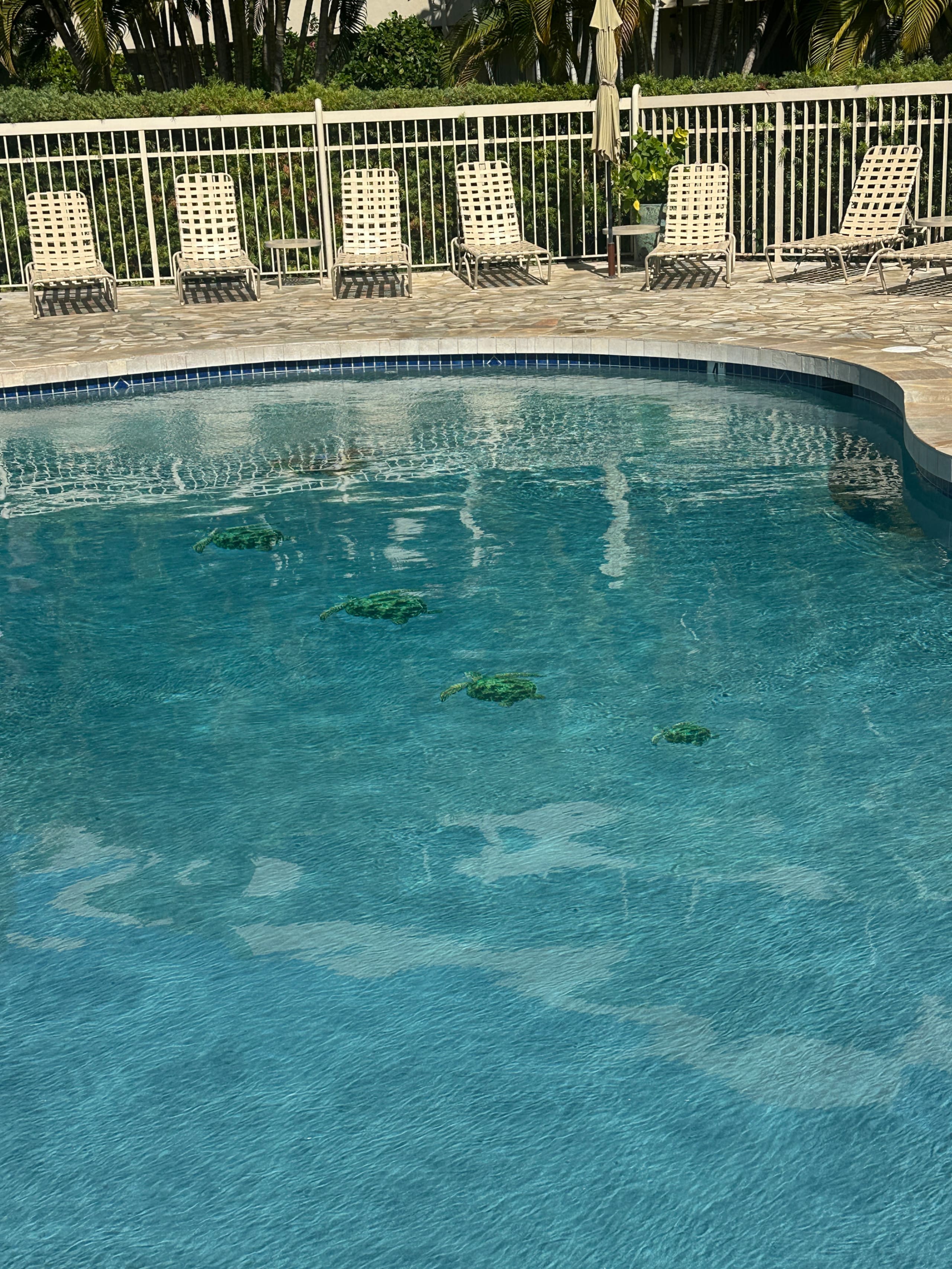 Condo in Kihei · ★4.94 · 1 bedroom · 1 bed · 2 baths - Image 18