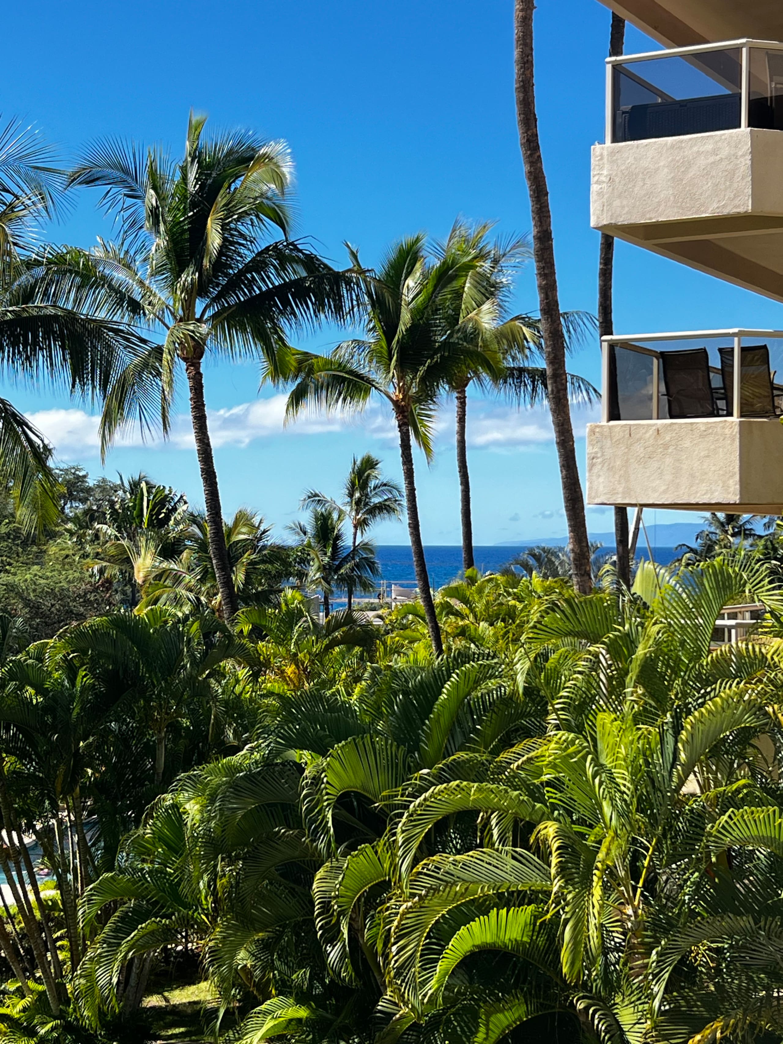 Condo in Kihei · ★4.94 · 1 bedroom · 1 bed · 2 baths - Image 16