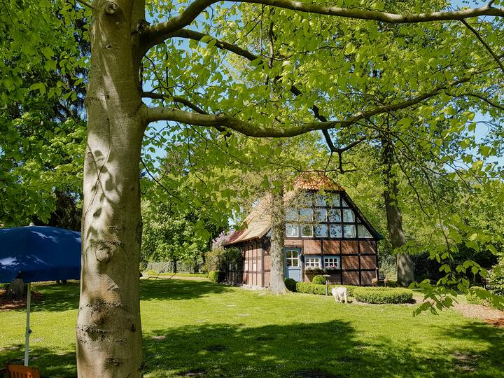 Oasis De Détente Dans Une Nature Intacte - Scheeßel