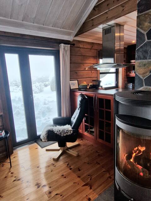 Top Airbnb: Panoramic views, child-friendly, sauna & electric car charger. in Åseral