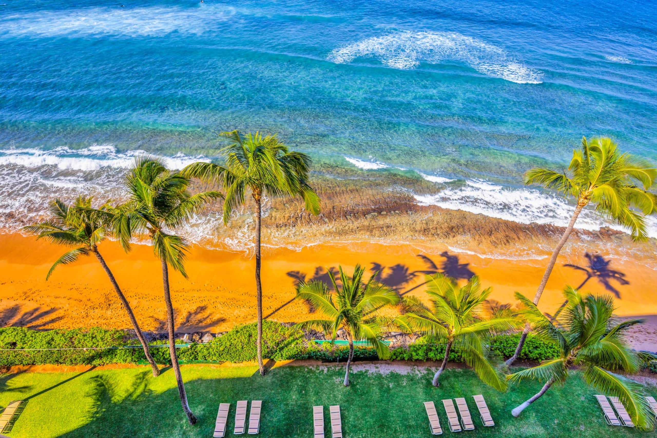 Condo in Lahaina · ★4.8 · 1 bedroom · 2 beds · 1 bath - Image 44