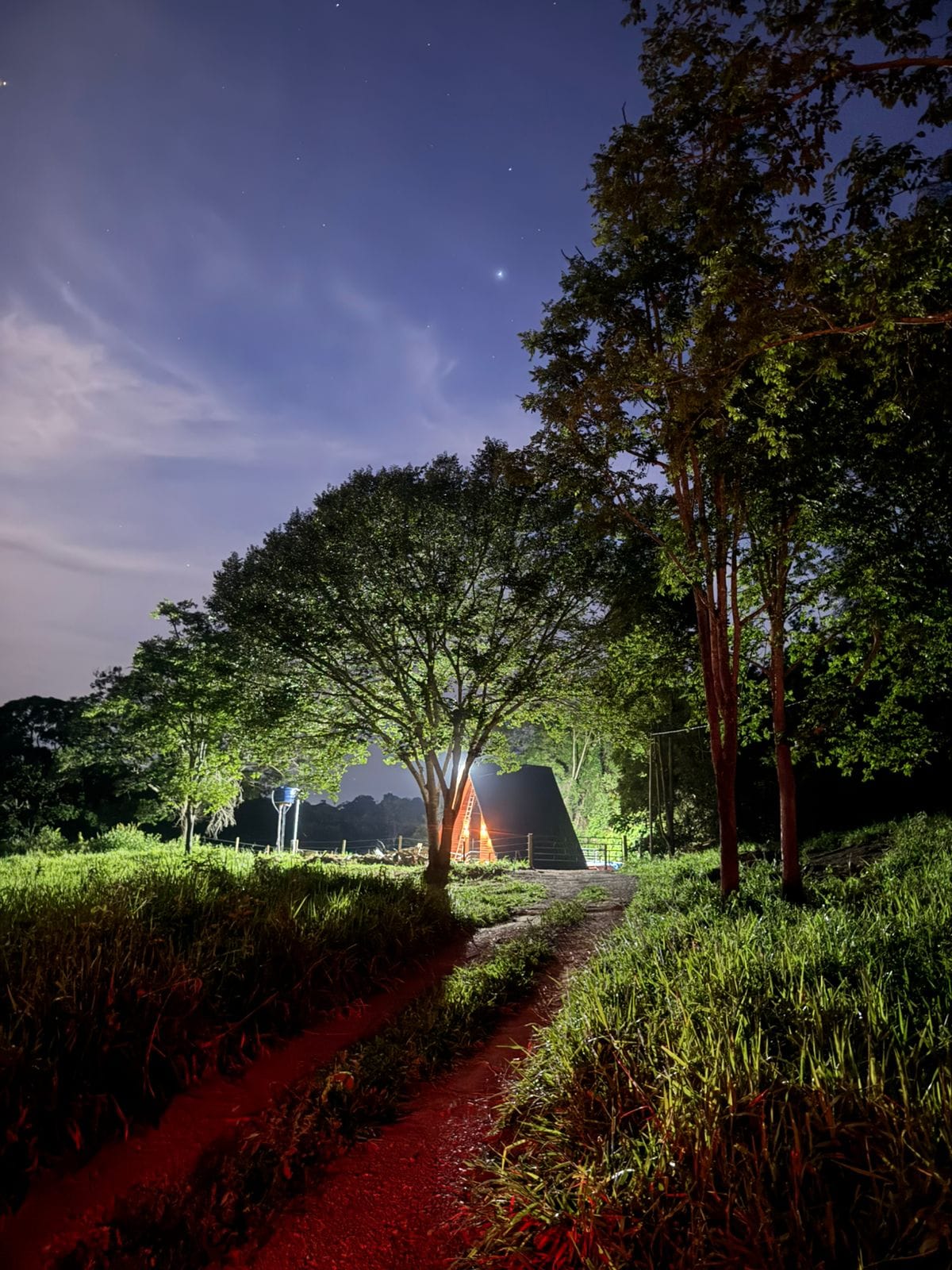 A serene outdoor scene is illuminated by soft light, with a path winding through lush greenery leading to a tent structure. Tall trees frame the scene, and a gentle sky with stars is visible overhead, enhancing the peaceful ambiance of the surroundings.