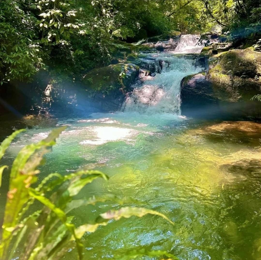 A serene natural landscape features a gentle waterfall cascading over smooth rocks into a clear green pool. Lush greenery surrounds the area, with ferns framing the foreground and sunlight filtering through the trees, creating a tranquil atmosphere.