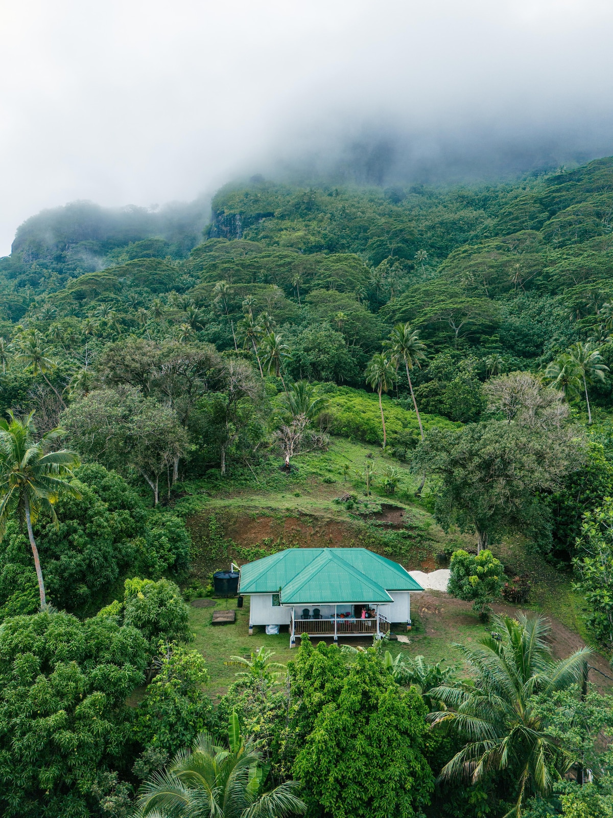 Aerial view of a house surrounded by lush greenery, with trees and tropical plants visible in the landscape. The building features a green roof and is situated on slightly elevated terrain, contributing to its serene setting against the backdrop of clouds and mountains.