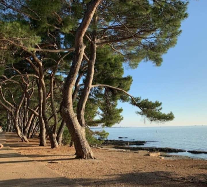 Excellent Studio Mia 2 Pers. - Umag