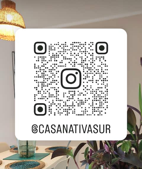 Popular Airbnb listing: CasaNativa 7Sur in Curicó