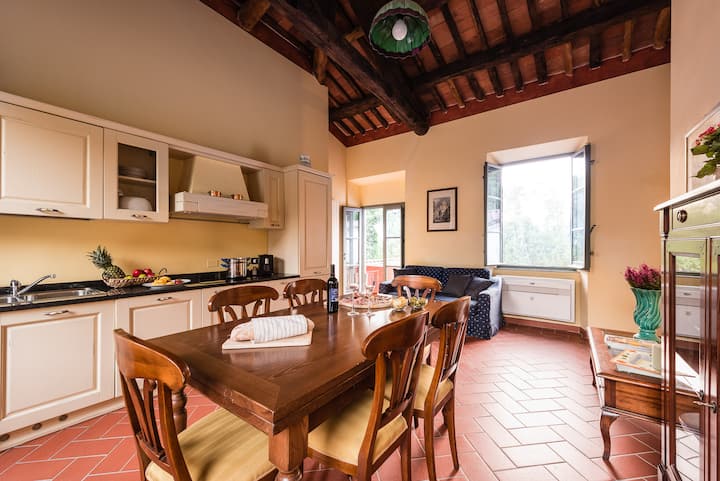 Standard Apartment With 2 Rooms Near Lucca - Italie