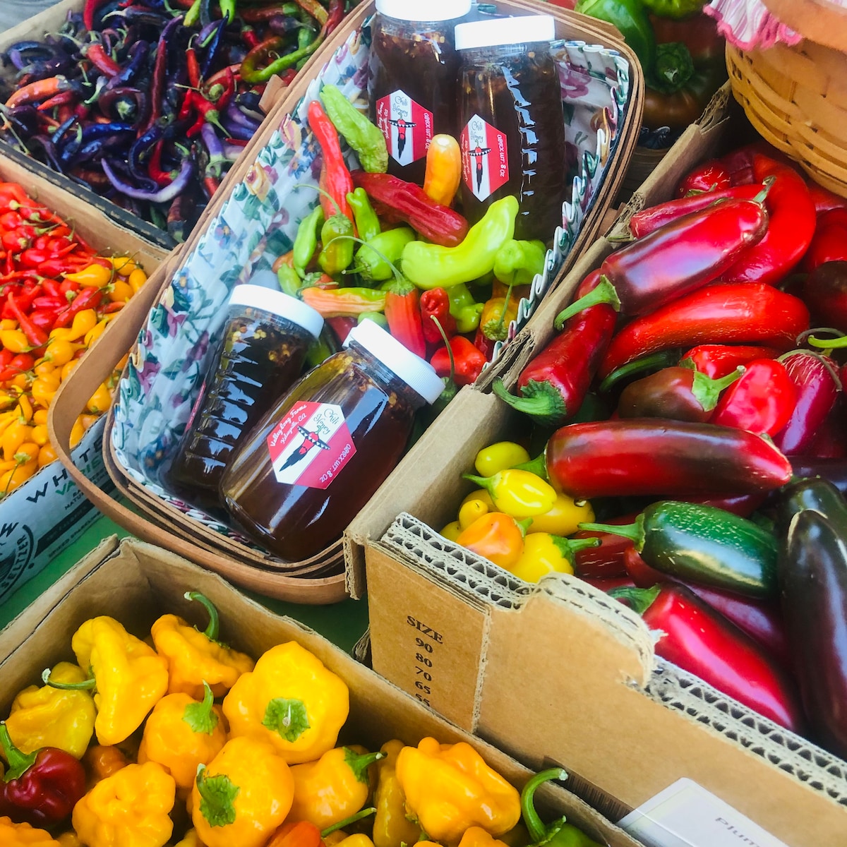 Local organic vegetables at Friday farmers market in Summer when the honey and hot peppers are happening. at Panoramic View Campsite – bring your own tent or small camper in Hidden
