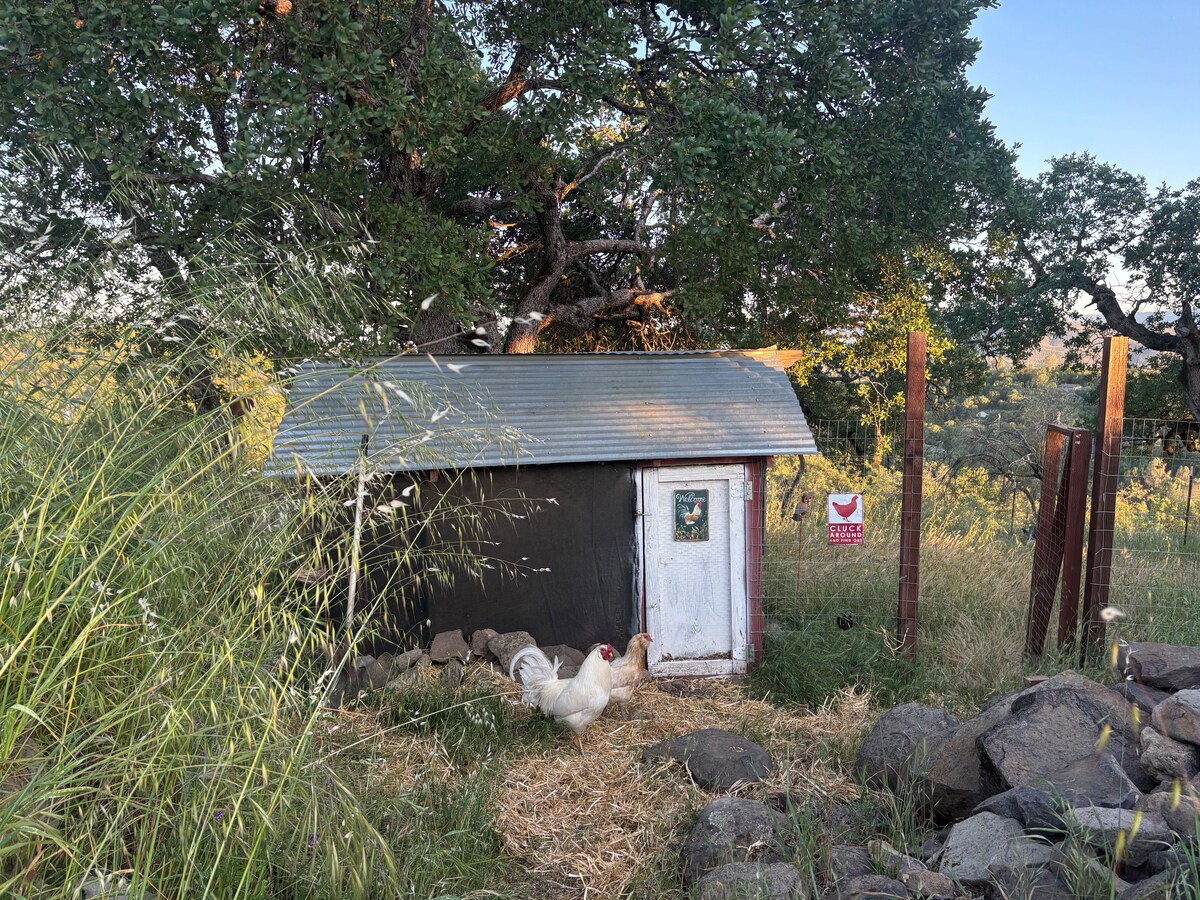 Roosty Roo and Red Birda. at Panoramic View Campsite – bring your own tent or small camper in Hidden Valley Lake