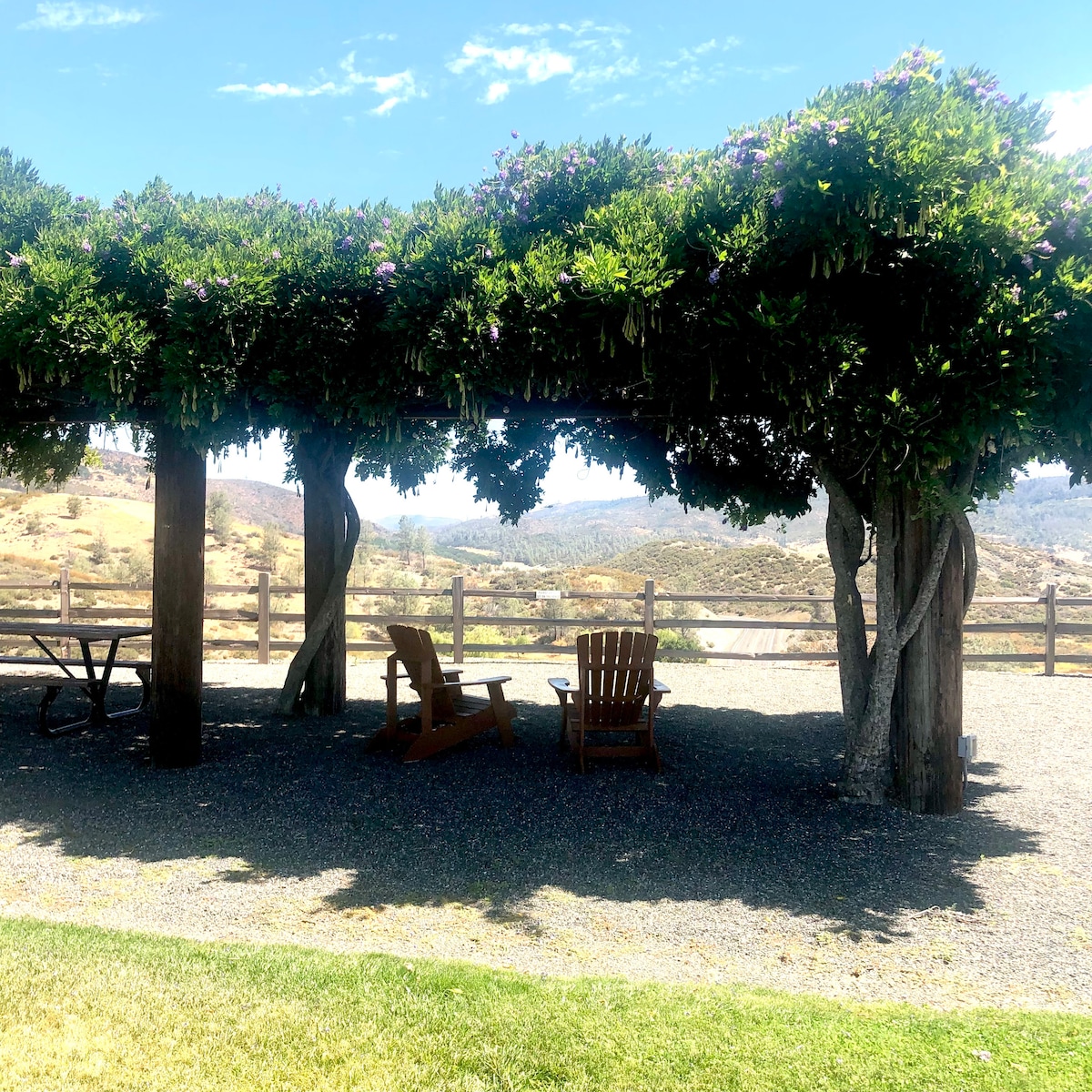The beautiful wisteria at Langtry vineyard 5 miles from here. at Panoramic View Campsite – bring your own tent or small camper in Hidden Valley Lake