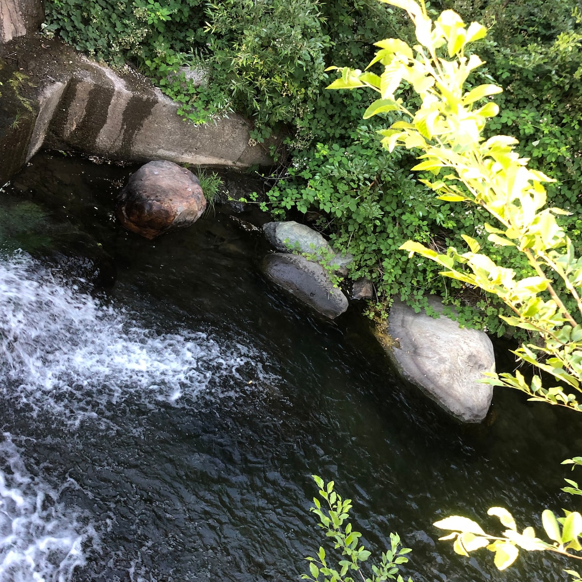 Many streams and swimming holes nearby -- we know where -- in beautiful secret wine country of Lake County. at Panoramic View Campsite – bring your own tent or small camper in Hidd
