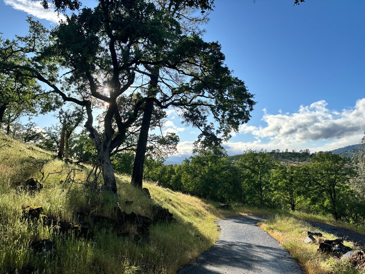 Need more privacy??? We have several other very private campsites with dark skies for stargazing. at Panoramic View Campsite – bring your own tent or small camper in Hidden Valley 