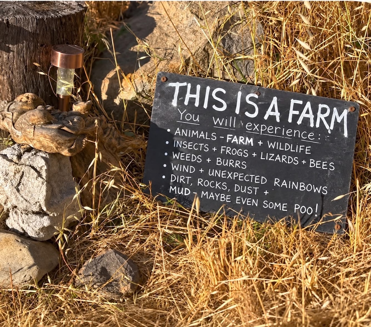This is a campsite on an organic rural farm. You WILL encounter animals, both wild and farm animals, natural wild native plants (not landscaping). We don’t use pesticides, herbicid