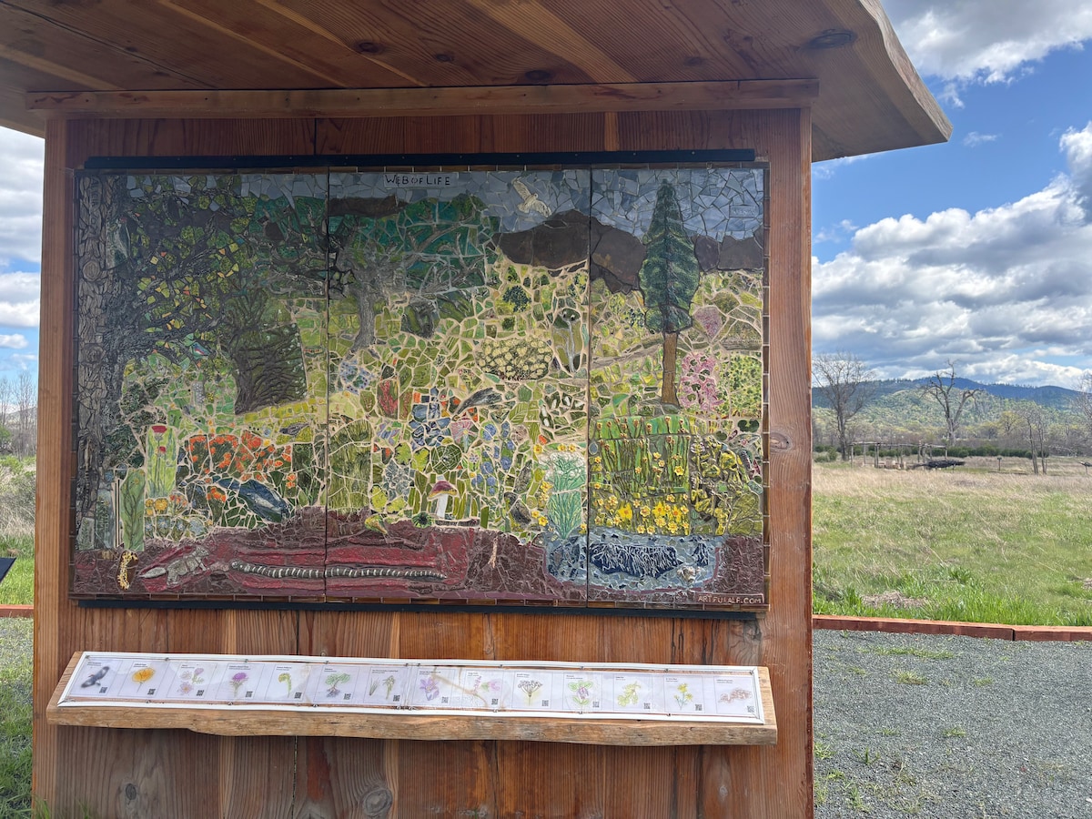 New ceramic murals in the sculpture park. Web of Life, Alicia Farnsworth. at Panoramic View Campsite – bring your own tent or small camper in Hidden Valley Lake
