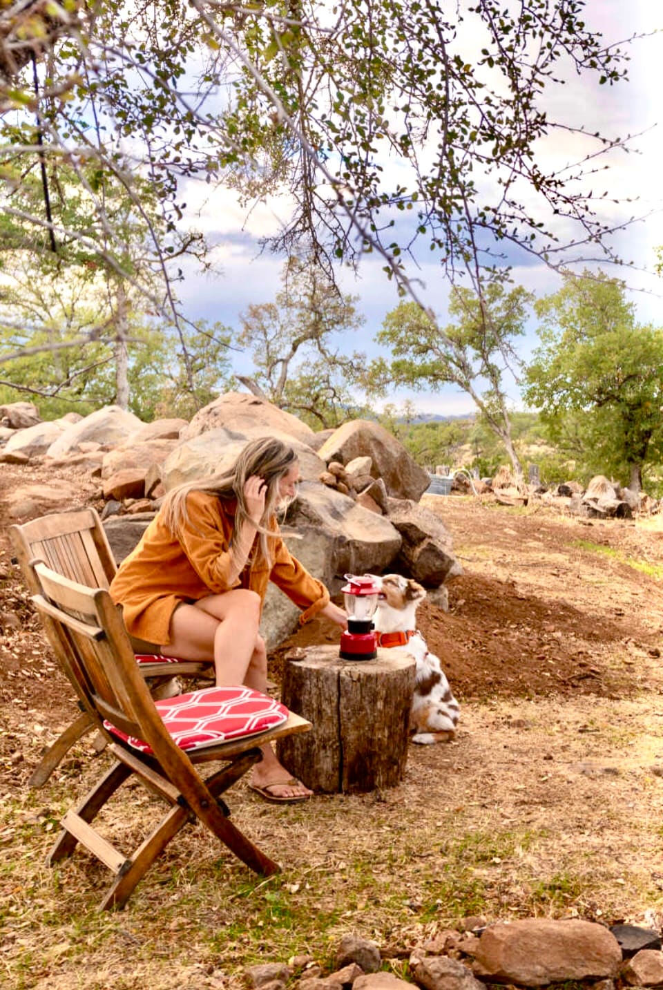 Dogs love it here! We ask for you to keep them on leash until they are acquainted with the land, our dog and the chickens. They can hike off leash in many places on the property an