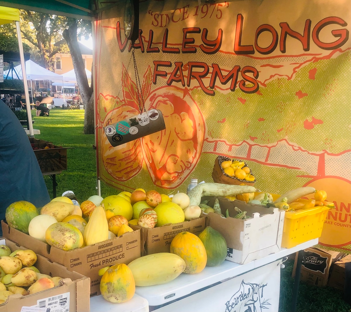 Pears are the main crop in the county, walnuts, stone fruit, grapes...you will find them all at the organic farmers markets. at Panoramic View Campsite – bring your own tent or sma