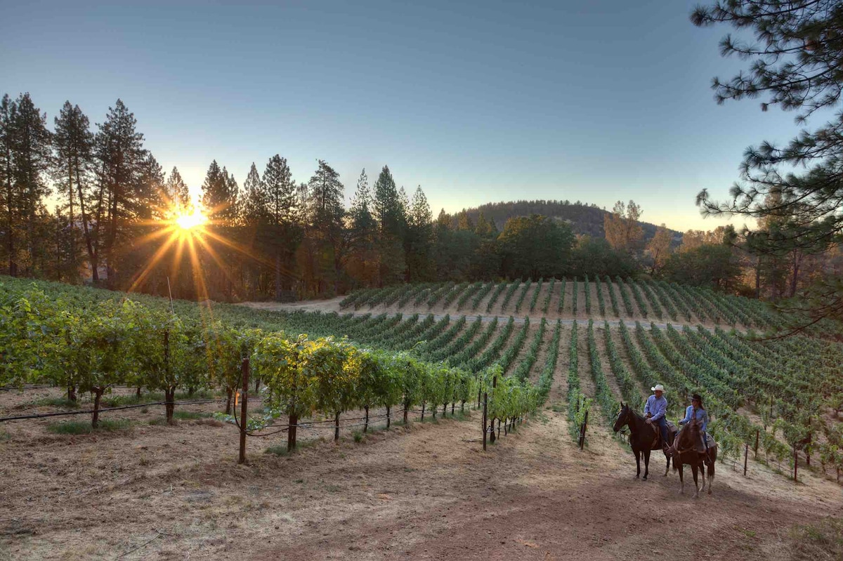 Horseback riding and Hawk and Hill winery. at Panoramic View Campsite – bring your own tent or small camper in Hidden Valley Lake