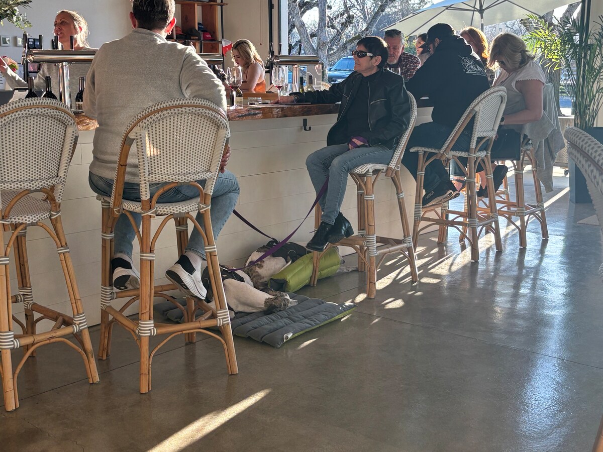 Pet friendly tasting rooms all around! This is Shannon Mercantile. at Panoramic View Campsite – bring your own tent or small camper in Hidden Valley Lake