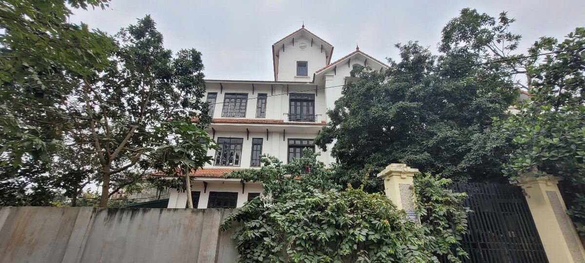 A three-story residence is surrounded by lush greenery, featuring multiple windows that allow natural light to fill the interior. The upper levels are highlighted by decorative architectural elements, while the entrance is framed by dense foliage, creating a welcoming ambiance.