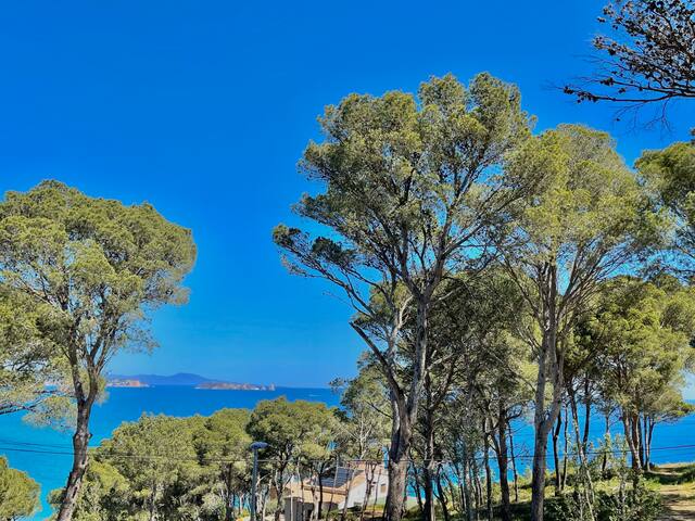 Villa Cala del Rey en Sa Riera, Begur. Costa Brava gallery image 5