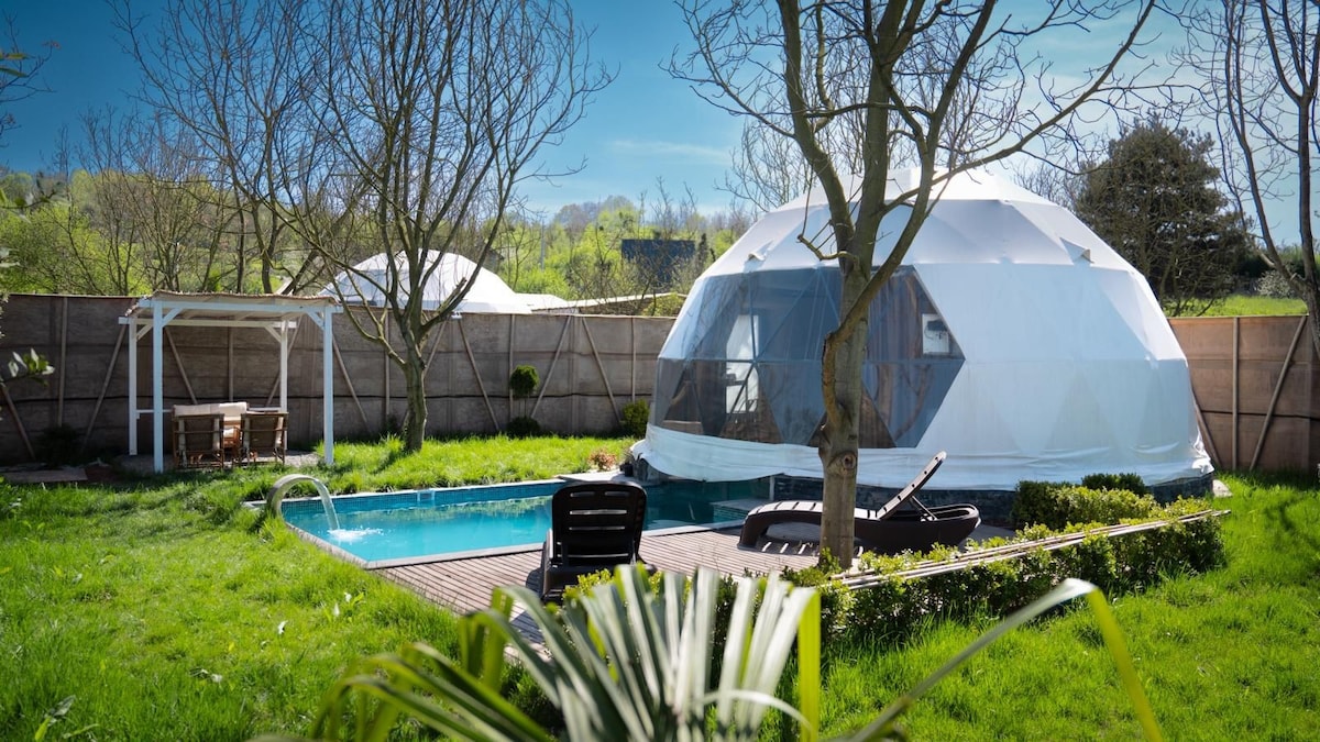 A geodesic dome structure is situated in a grassy area, complemented by a small swimming pool nearby. Sun loungers are arranged around the pool, and a dining set is visible under a pergola. Leafless trees frame the serene outdoor setting.