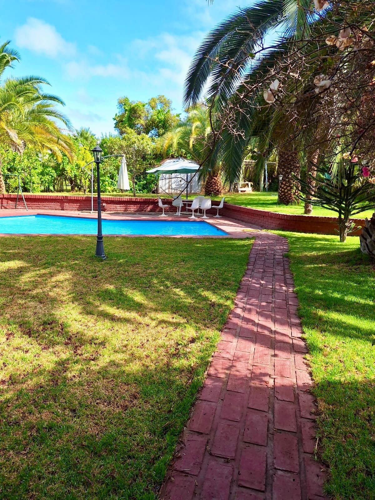 A landscaped area features a large swimming pool surrounded by lush greenery and palm trees. A brick pathway leads to the poolside, where white chairs and a shaded gazebo are positioned for relaxation. Natural light enhances the vibrant colors of the outdoor space.
