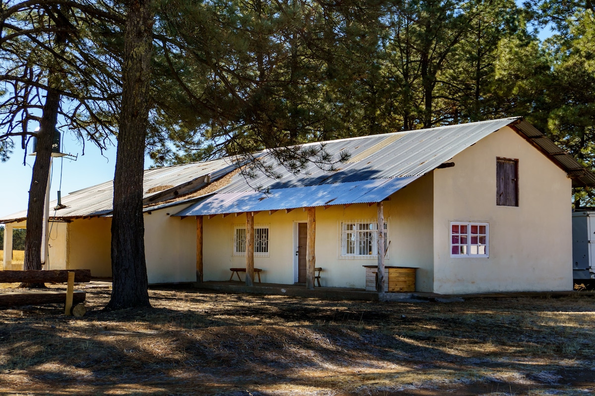 The exterior of a sprawling building is shown, featuring a simple design with a metal roof. Tall trees surround the structure, providing shade. Several windows are visible, along with a small porch area. The natural landscape complements the serene setting.