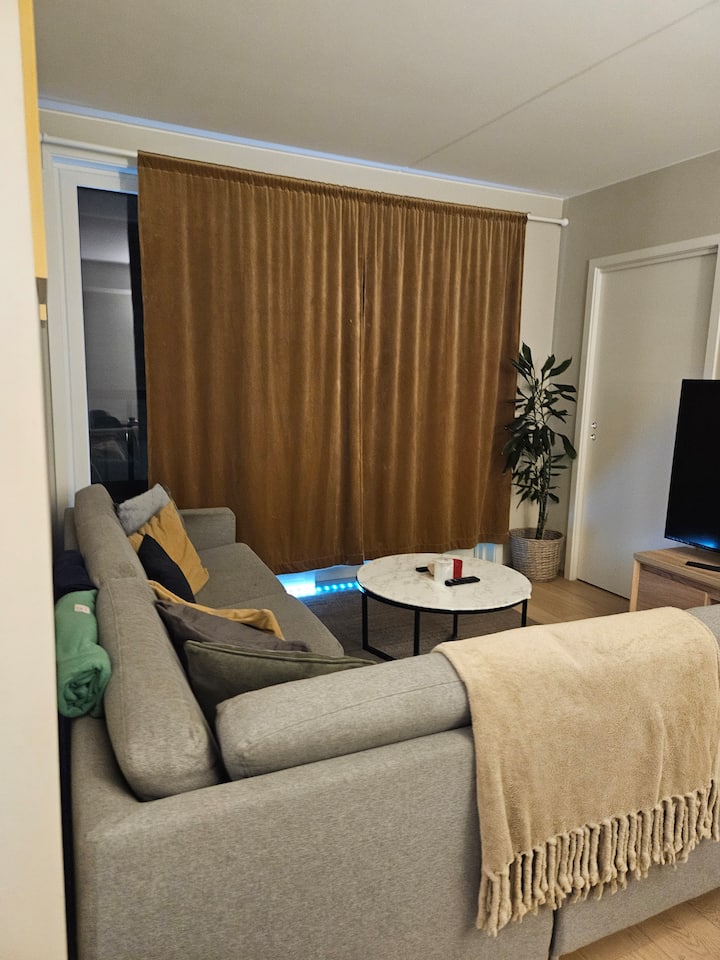 Spacious 2br Apt In Downtown Outskirts - Oslo