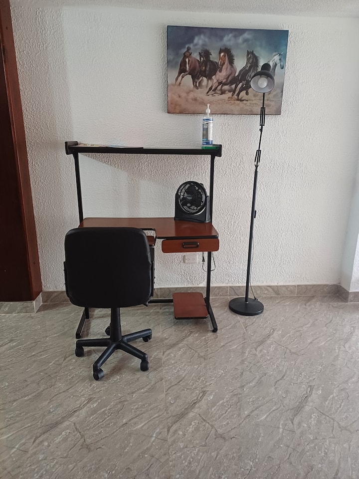 El Palmar - Palmira