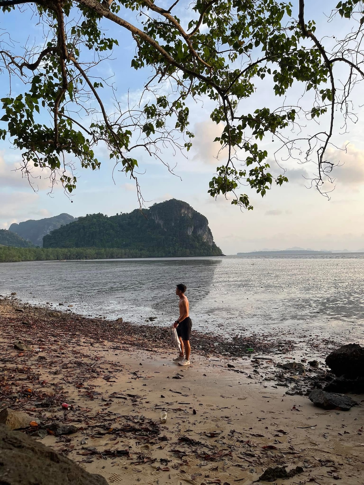 A serene beach scene is captured with gentle waves lapping at the shore. A figure stands on the sandy beach, framed by overhanging tree branches, with a distant rocky island and lush greenery visible along the coastline. Soft light enhances the calming atmosphere.