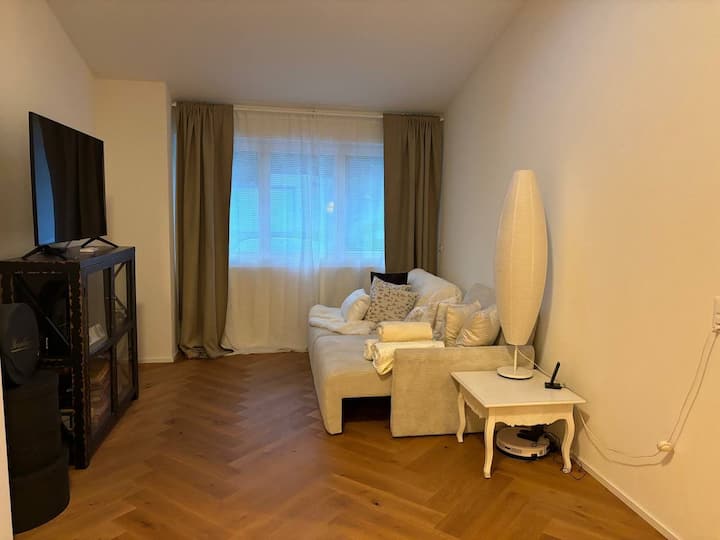 Penthouse With Wine Yard View - Luzern, İsviçre