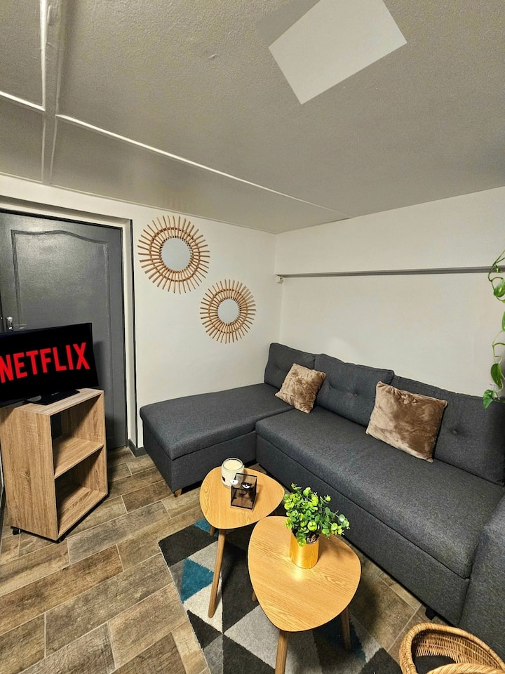 Charmant Studio 30m2 - Clermont-Ferrand
