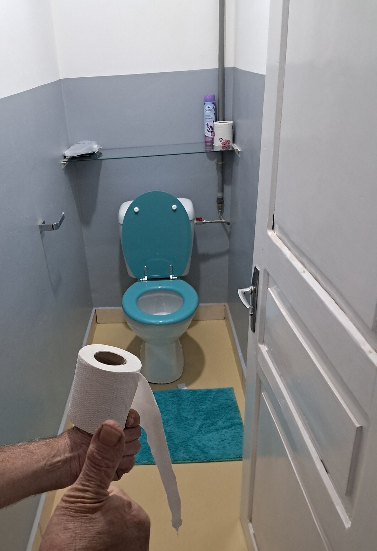 A simple bathroom is displayed, featuring a teal toilet with a matching toilet seat. A roll of toilet paper is held in the foreground. A small shelf and toiletries are seen on the wall, and a soft turquoise rug covers the floor.